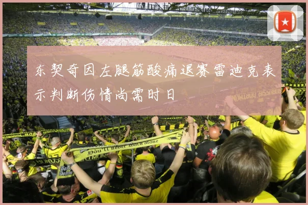 东契奇因左腿筋酸痛退赛雷迪克表示判断伤情尚需时日
