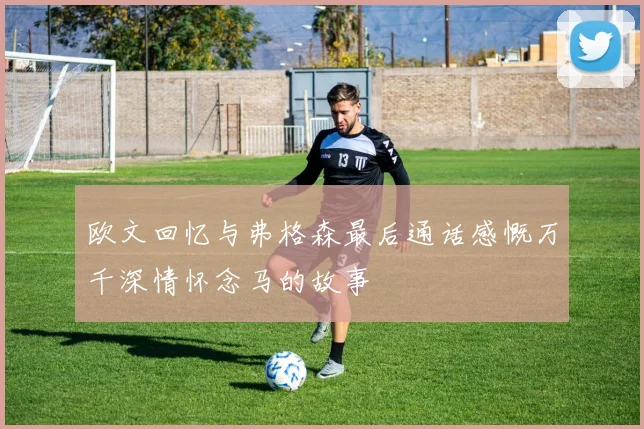 欧文回忆与弗格森最后通话感慨万千深情怀念马的故事